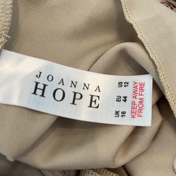 Joanna Hope Embroidered  Lace Ilusion Sheath Dress - Picture 8 of 10